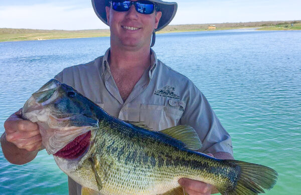 Fish for pond stocking trout bass in Texas Louisiana Oklahoma Arkansas 167