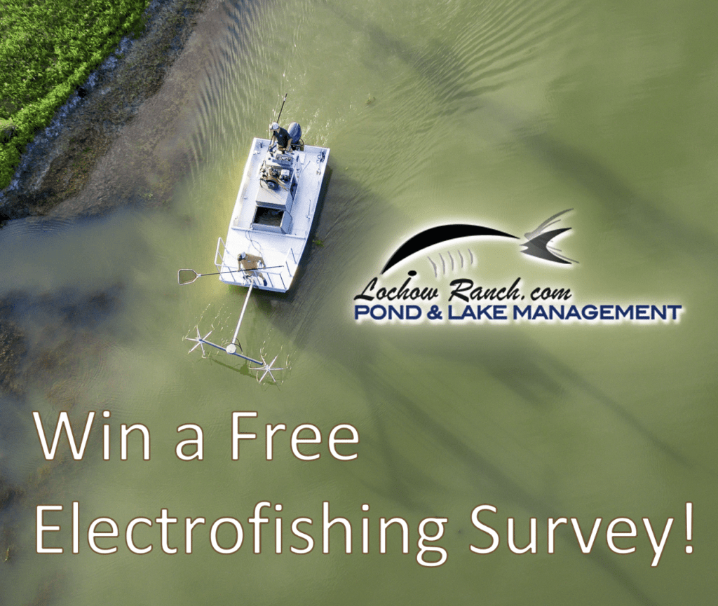 2021 can be an epic fishing year if you win one of our free ...